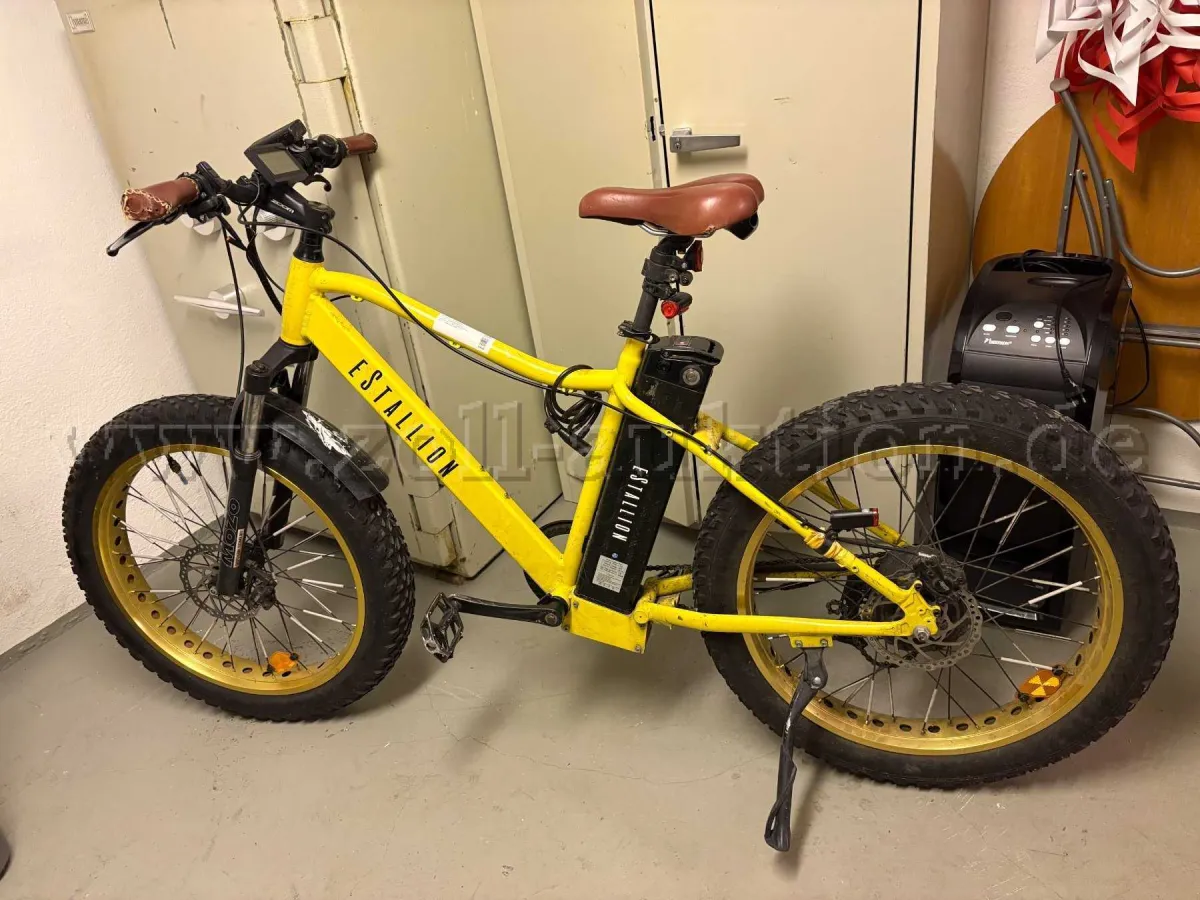 1 Electric bicycle eStallion High, frame height 52 cm