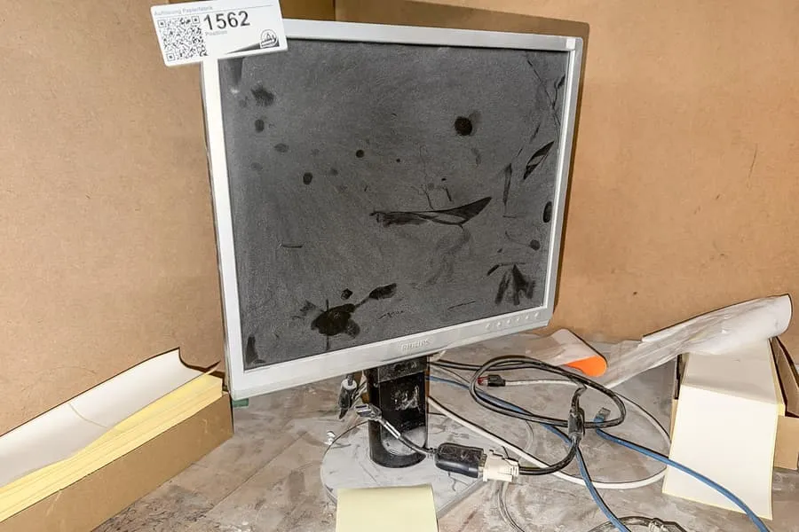 Monitor Philips MNB1190T
