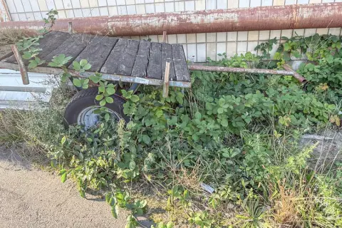 Chariot de transport