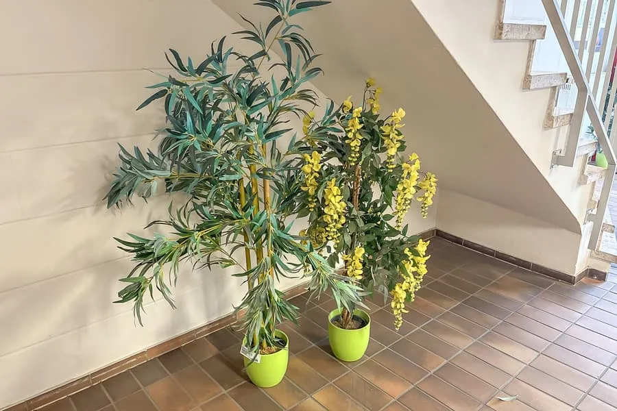 2 plantes artificielles