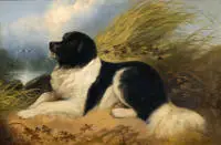 Armfield, George (1803 - 1893),