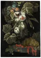 Ottmar Elliger the Elder "Festoon with Fruits and Insects". 1665.