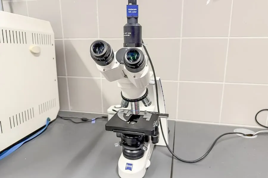 Stéréomicroscope ZEISS PrimoStar WF 10x-20
