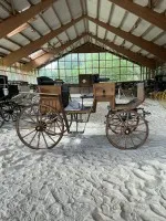 Historische Pferdekutsche #2010-PR-212