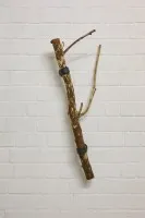 Wandkapstok van tak. #0509