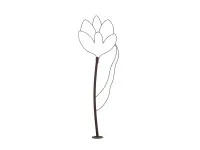 Tulipe – Fleur en acier #0190