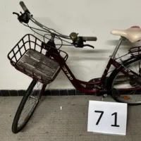 VOISFUND damesfiets met stuurmand