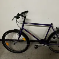 VOISFUND Herrenrad