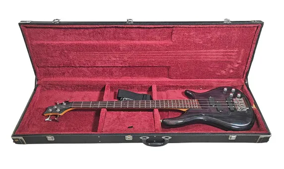 GITARRE, E-Gitarre im Koffer.