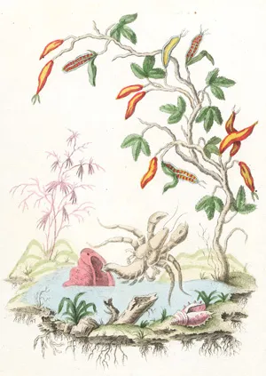 Charton, Jacques – Collection de plantes étrangères en fleurs