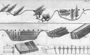 Voch, Lucas – River engineering on the Lech and Wertach