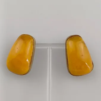 PAAR BERNSTEIN-OHRCLIPS.