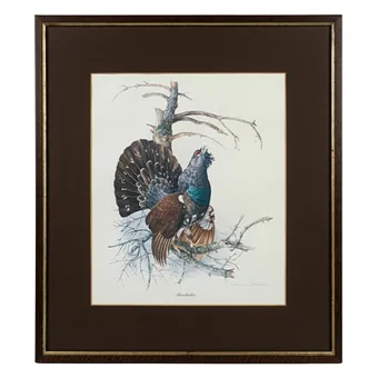 Framed art print capercaillie by Wilhelm Bühler.