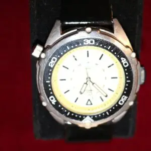 Montre-bracelet homme Timex
