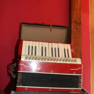 Accordéon dans un étui