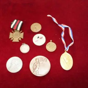Lot 1ère Guerre mondiale, insignes