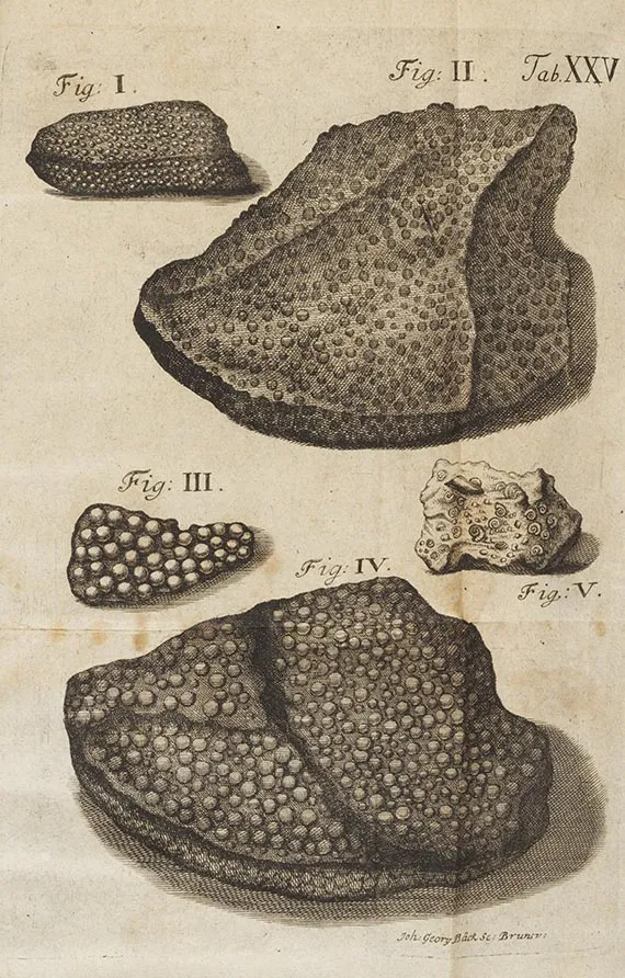 Franz Ernst Brückmann, Thesaurus subterraneus, 1728
