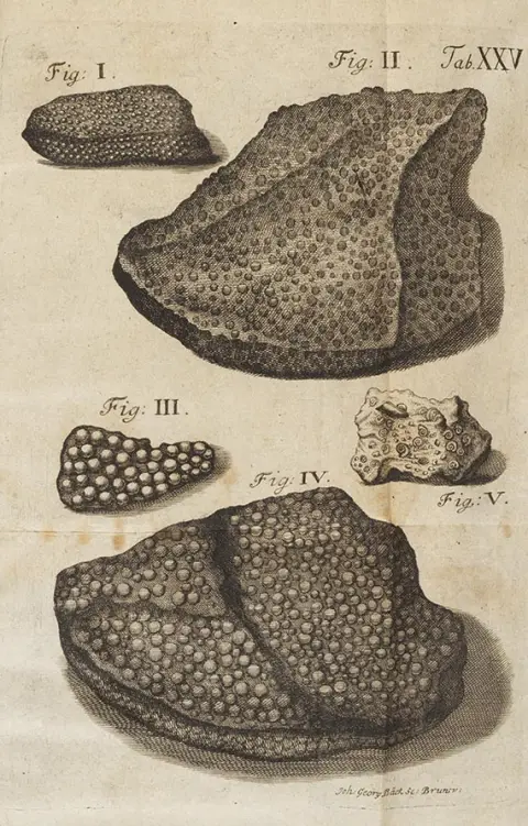 Franz Ernst Brückmann, Thesaurus subterraneus, 1728