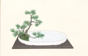 Botanické ilustrace – 3 japonské barevné dřevořezy