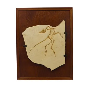 ARCHAEOPTERYX FOSSIL REPLIK AUF HOLZPLATTE.
