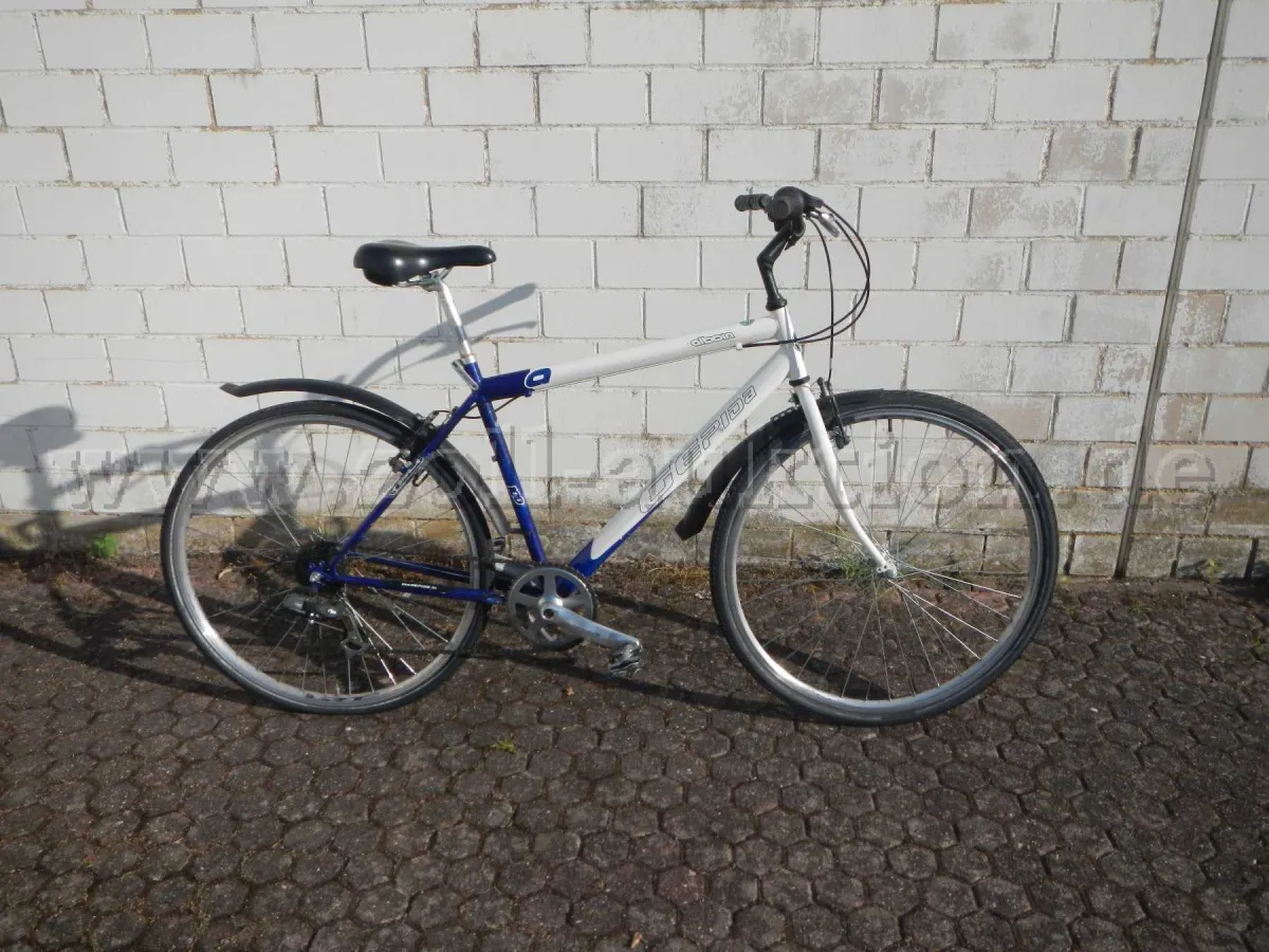 1 rower Passat Livorno