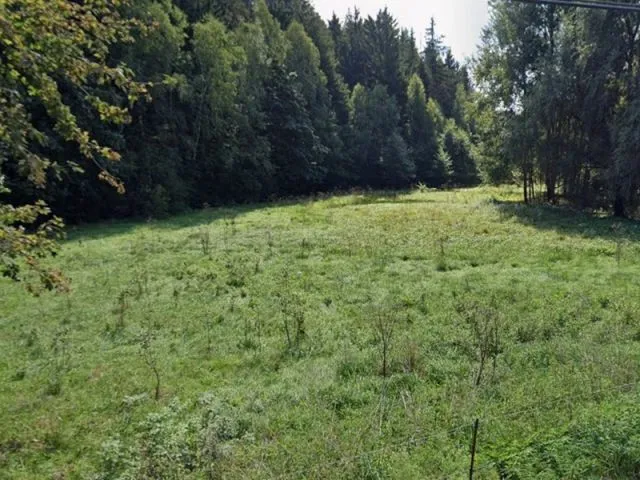 Grünlandfläche im Vogtland