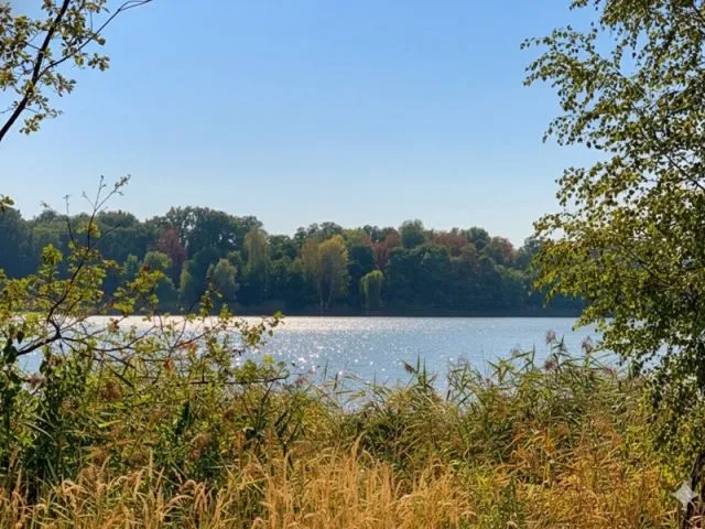 Vertragsfreie Waldfläche nahe dem Baggersee & dem Schloss Gusow