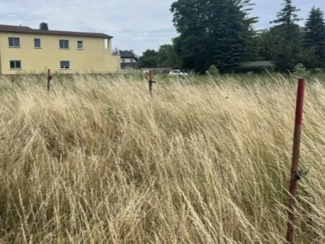 Petite parcelle arborée sans contrat
