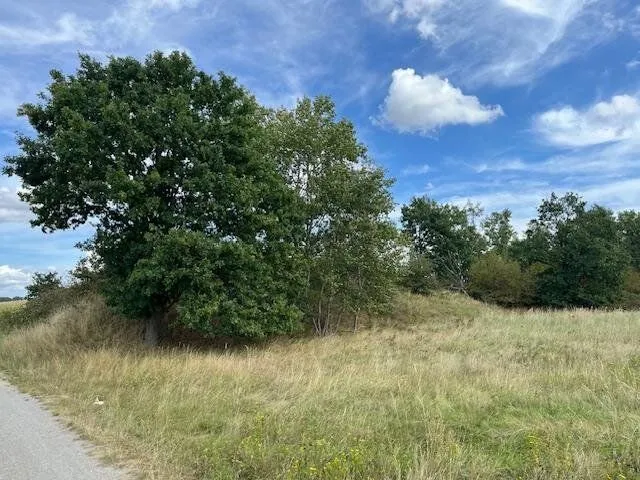 Lesní plocha bez smlouvy