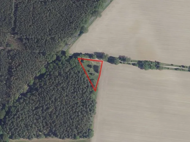 Surface de prairie herbeuse avec arbres et arbustes épars dans le Schlaubetal