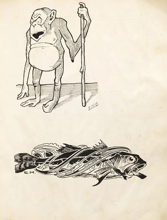 Edwin Hermann Henel, skicirka, 1902