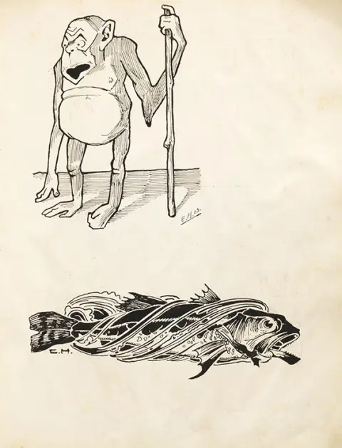 Edwin Hermann Henel, skicirka, 1902