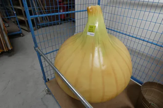 Rekwizyt: XXL cebula