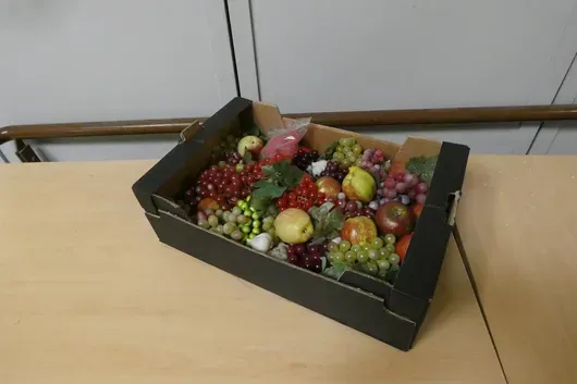 Partij kunstfruit