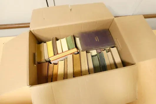 Lot de livres