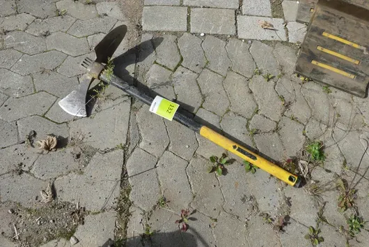 Houe à houe huppe