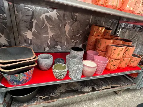 Lot of various flower pots