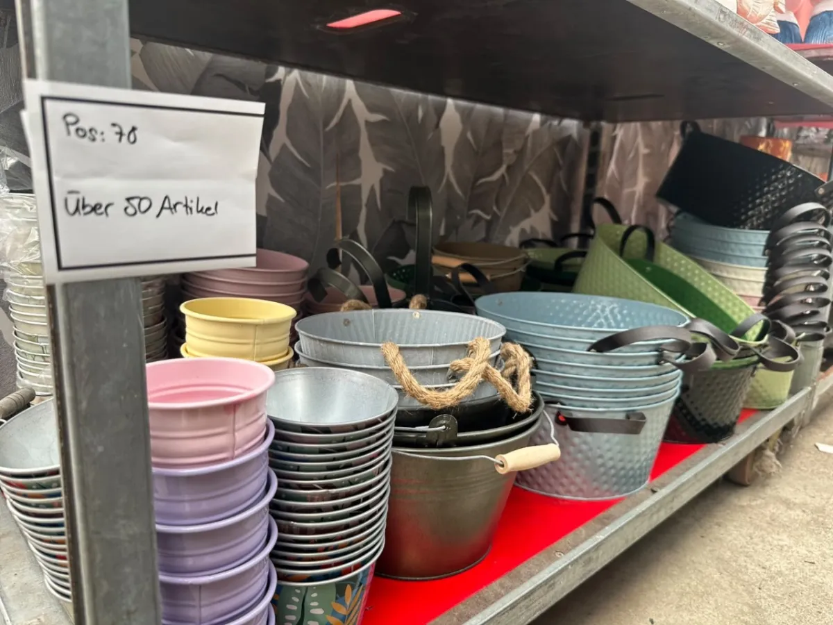 Lot of various flower pots