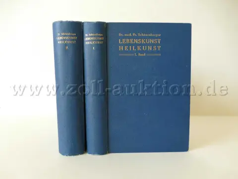 2 delen - Lebenskunst Heilkunst. Medische gids voor gezonden en zieken