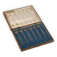 Zes niello lepels in originele etui