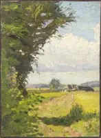 Zomerlandschap