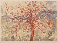 'Arbre rouge'