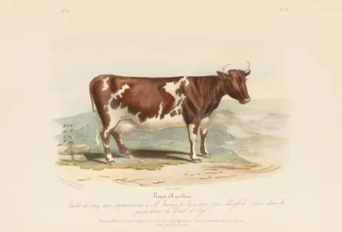 David Low, Histoire naturelle-agricole des animaux domestiques de l'Europe