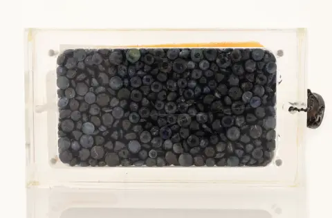 Lot de saphirs lâches, total env. 150,37 ct, taille ronde, tailles et nuances diverses, en