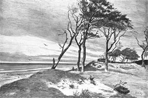 Müller-Kaempff, Paul – Ahrenshoop. Sommertage am Ostseestrande