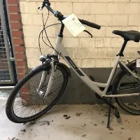Rower damski (Pegasus)