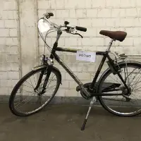 Pánské kolo (Gazelle)
