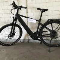 Vélo homme (Pegasus)