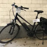 Elektrokolo dámské (Pegasus)