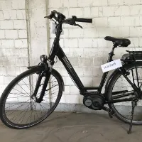 Vélo d'homme (Pegasus)
